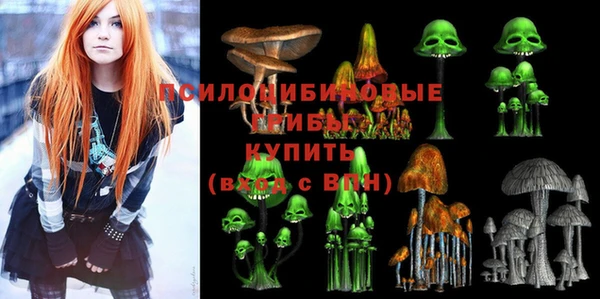 spice Абинск