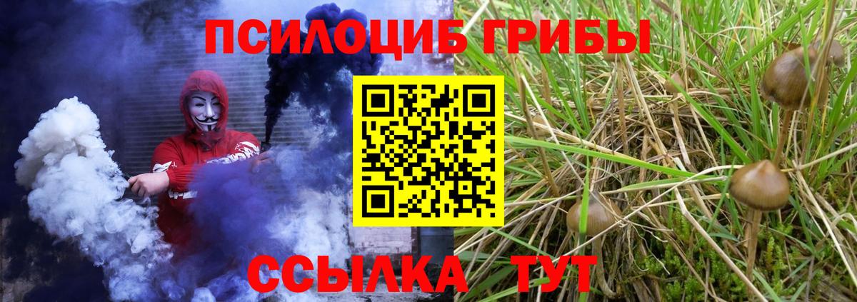 Псилоцибиновые грибы прущие грибы Красный Сулин