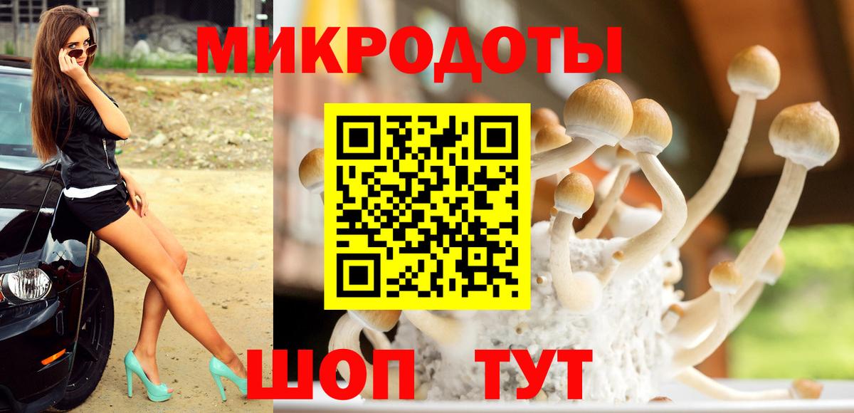 Красный Сулин  Галлюциногенные грибы Cubensis  где продают   Вход с VPN 