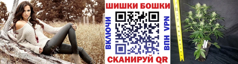 МАРИХУАНА SATIVA & INDICA закладка Красный Сулин